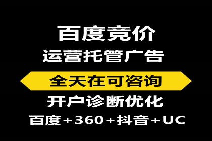 百度竞价赚钱的技巧与成功案例探讨